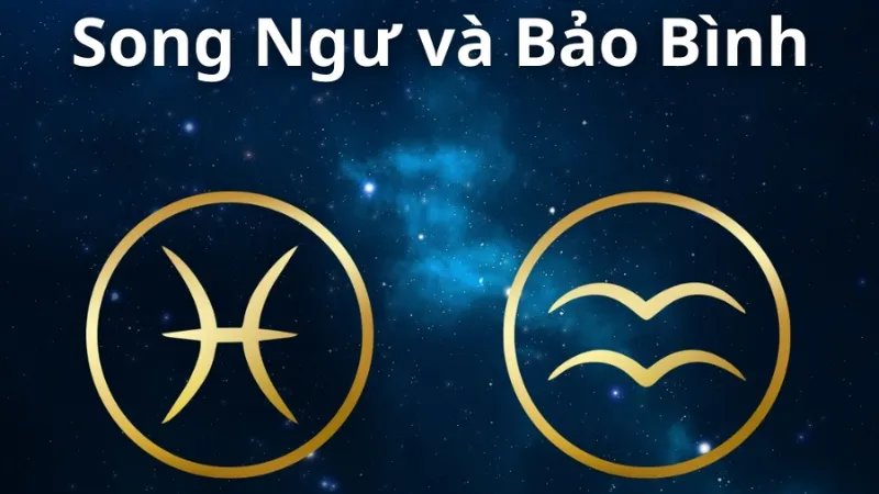 Tổng quan tính cách và năng lượng Song Ngư – Bảo Bình