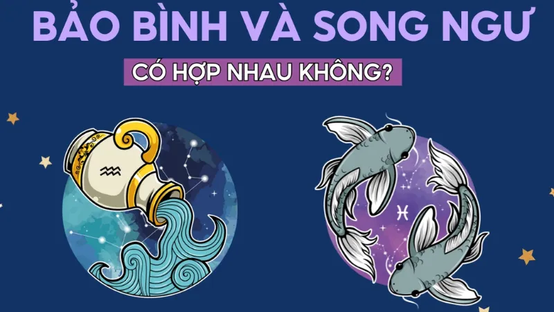 Giải Mã Chi Tiết Về Cung Song Ngư Có Hợp Với Cung Bảo Bình