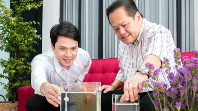 Top Nghề Nghiệp Phù Hợp Cung Song Ngư: Lộ Trình Và Kỹ Năng